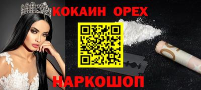 сатива Кингисепп