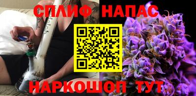 сатива Кингисепп