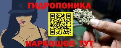 тгк Кимры
