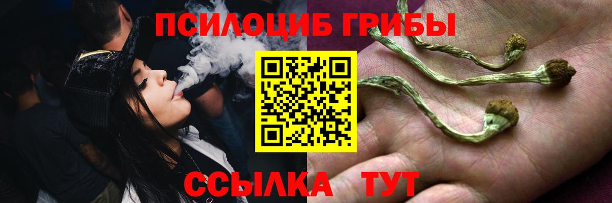 Люберцы  Галлюциногенные грибы Cubensis  Вход с VPN 